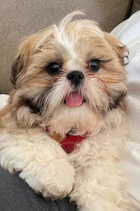 Meet your Posher, Madelyn